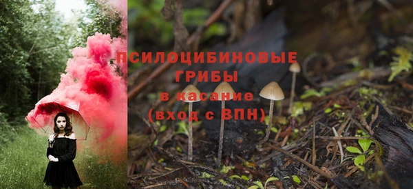 шишки Абдулино