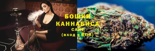apvp Вяземский