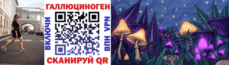Псилоцибиновые грибы Psilocybe  Собинка 